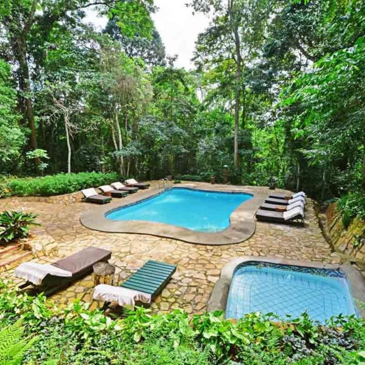 1 DAY JINJA TOUR, SEZIBWA FALLS AND MABIRA FOREST