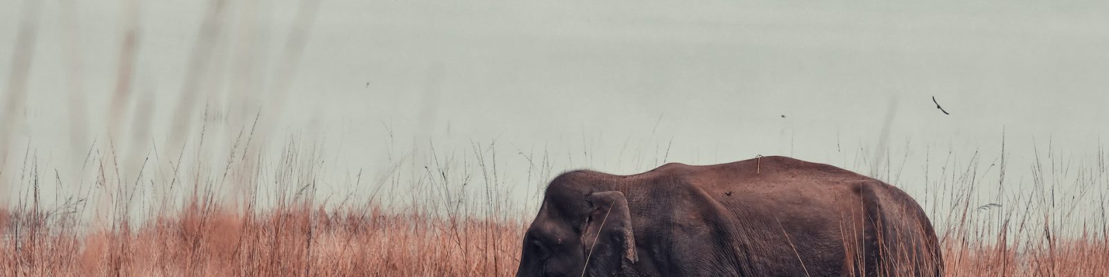 Kidepo Valley National Park