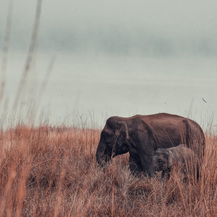 Kidepo Valley National Park