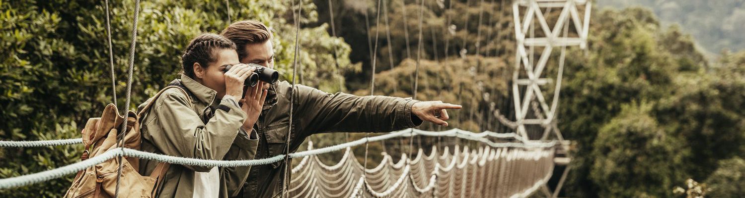 Canopy walk in Nyungwe forest National Park Rwanda
