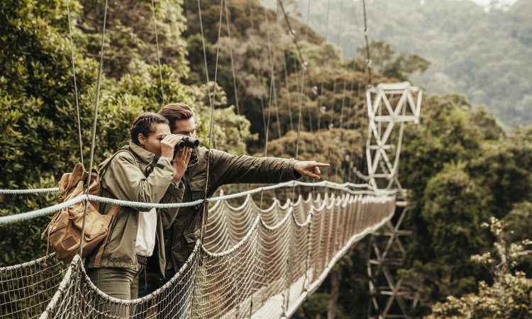 Canopy walk in Nyungwe forest National Park Rwanda