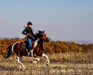 18 Days Uganda Wildlife Safari