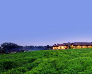 7 Days Rwanda Wildlife and Gorilla Tracking Tour