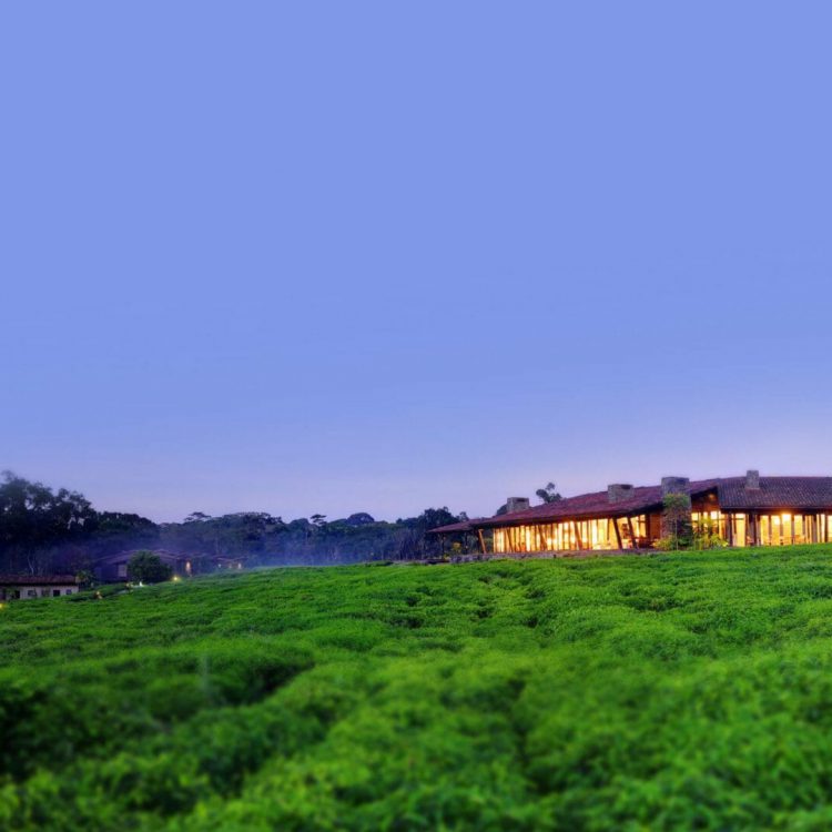 7 Days Rwanda Wildlife and Gorilla Tracking Tour