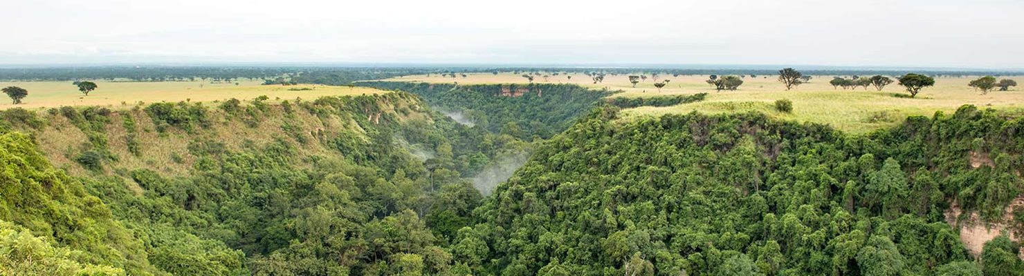 Chimpanzee Tracking at Kyambura Gorge