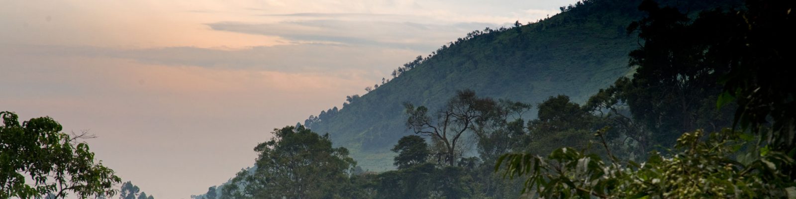 5 Days Uganda Safari