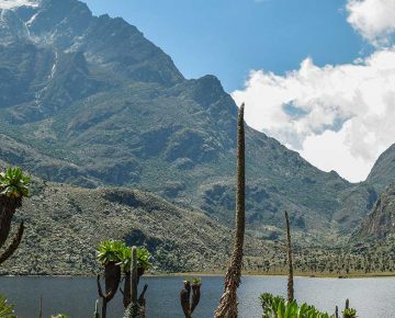 4 Days Rwenzori Hiking Safari