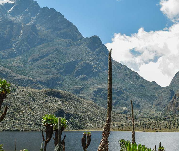 4 Days Rwenzori Hiking Safari