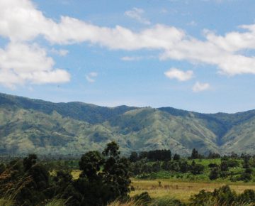 8 Days Rwenzori Mountains Hike