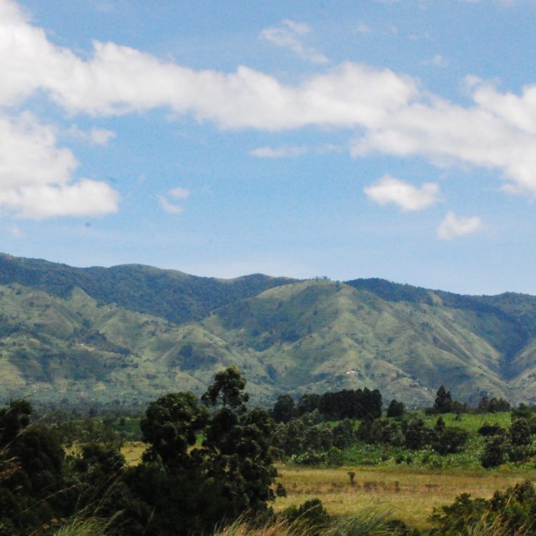8 Days Rwenzori Mountains Hike