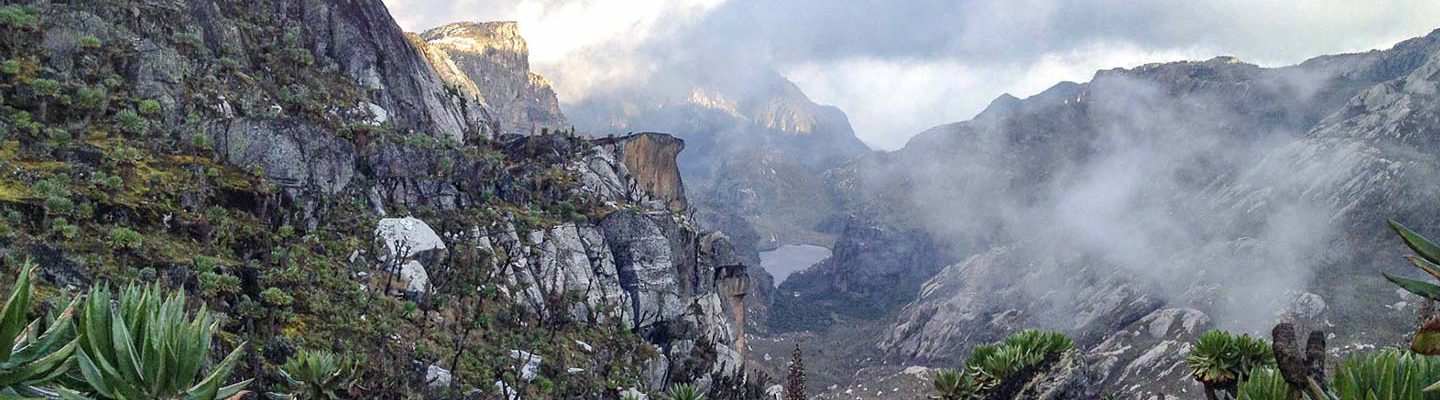 Mount Rwenzori National Park