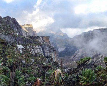 Mount Rwenzori National Park