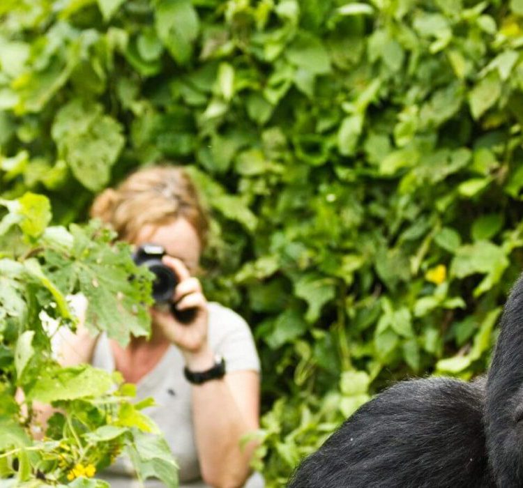 5 days Rwanda Gorilla Tour
