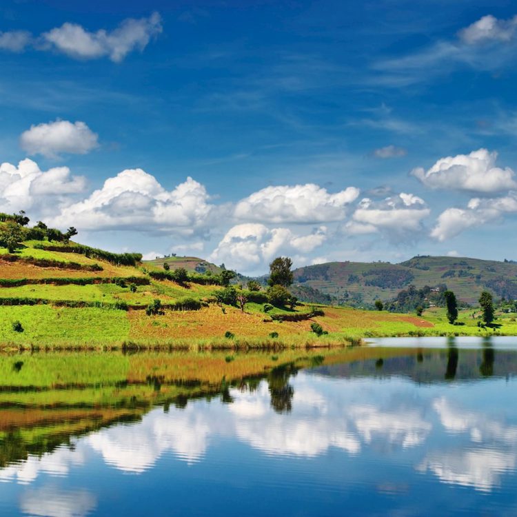 5 Days Bwindi Gorillas & Lake Bunyonyi