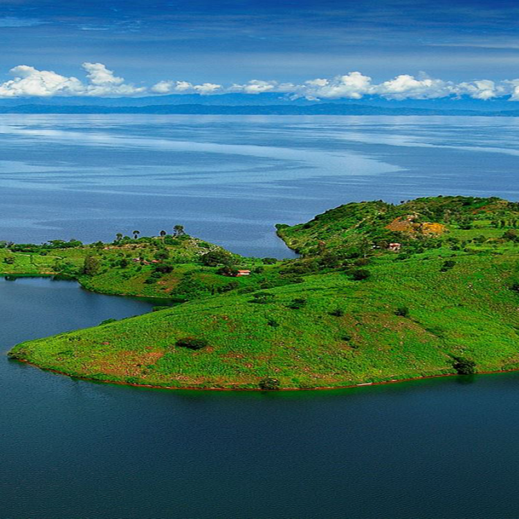 4 Days Gorilla Tour & Lake Kivu