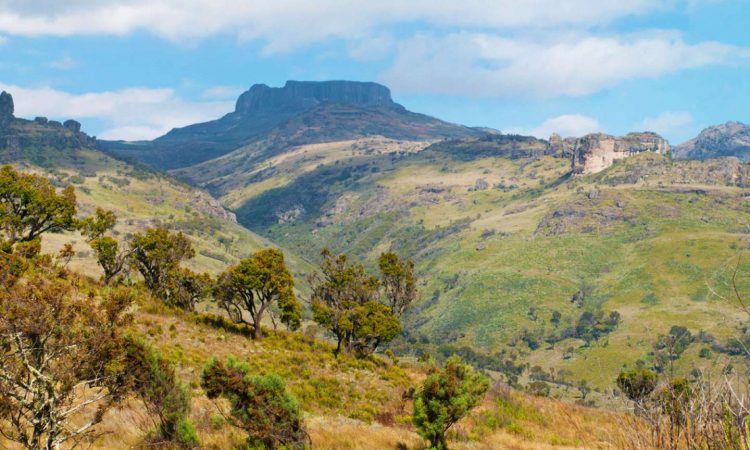 Mount Elgon National Park