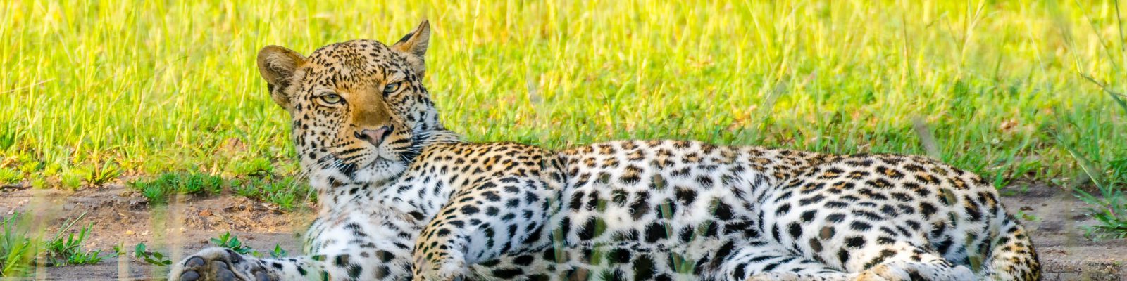 Queen Elizabeth National Park