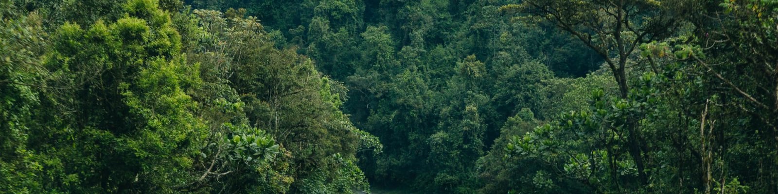 What to do and see in Rwanda