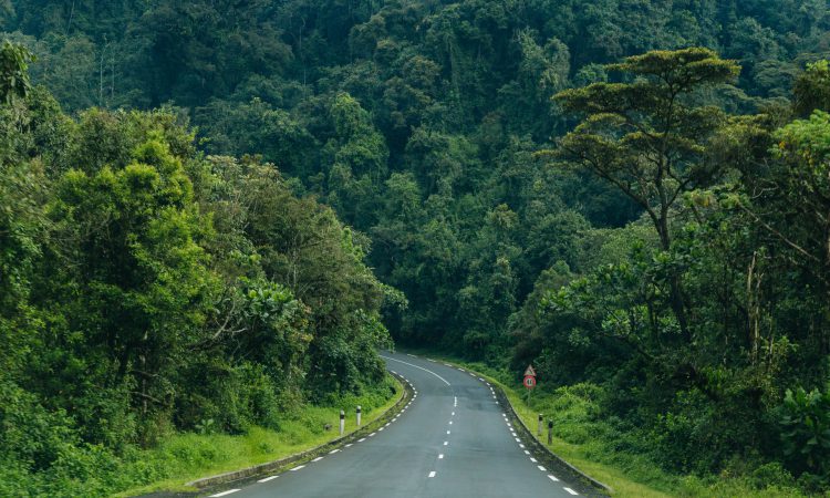 What to do and see in Rwanda