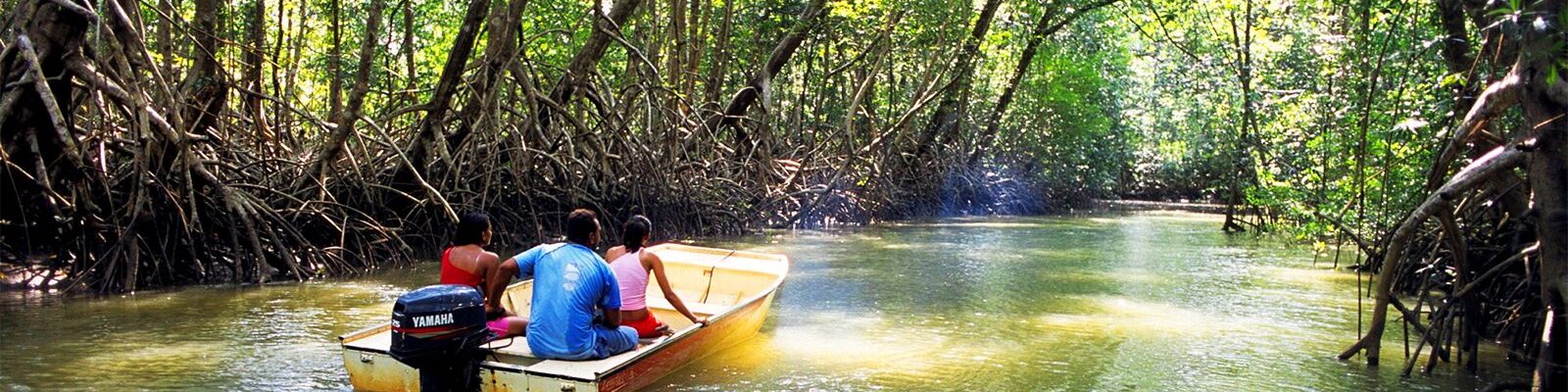Mangroves National Park