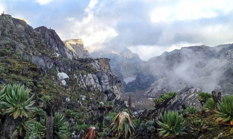 Rwenzori Mountains Congo