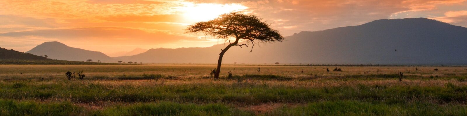 Facts about Uganda