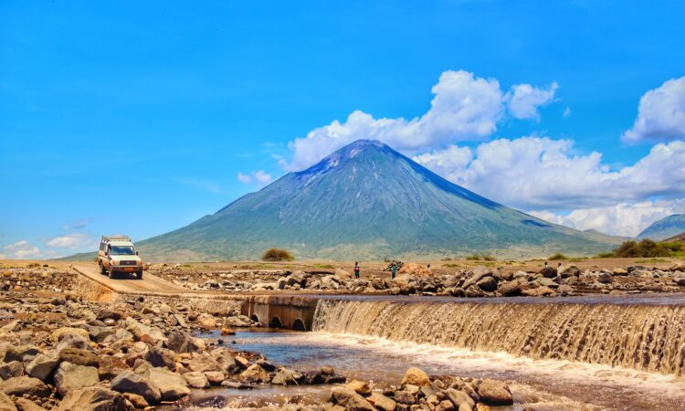 Gorilla Trekking from Arusha